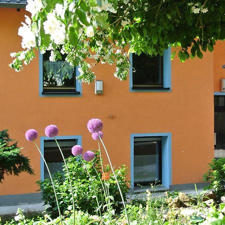 Ferienwohnung Zur Muehle Sotzweiler Zewnętrze zdjęcie