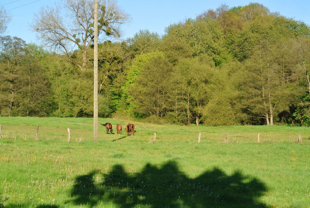 Ferienwohnung Zur Muehle Sotzweiler Zewnętrze zdjęcie