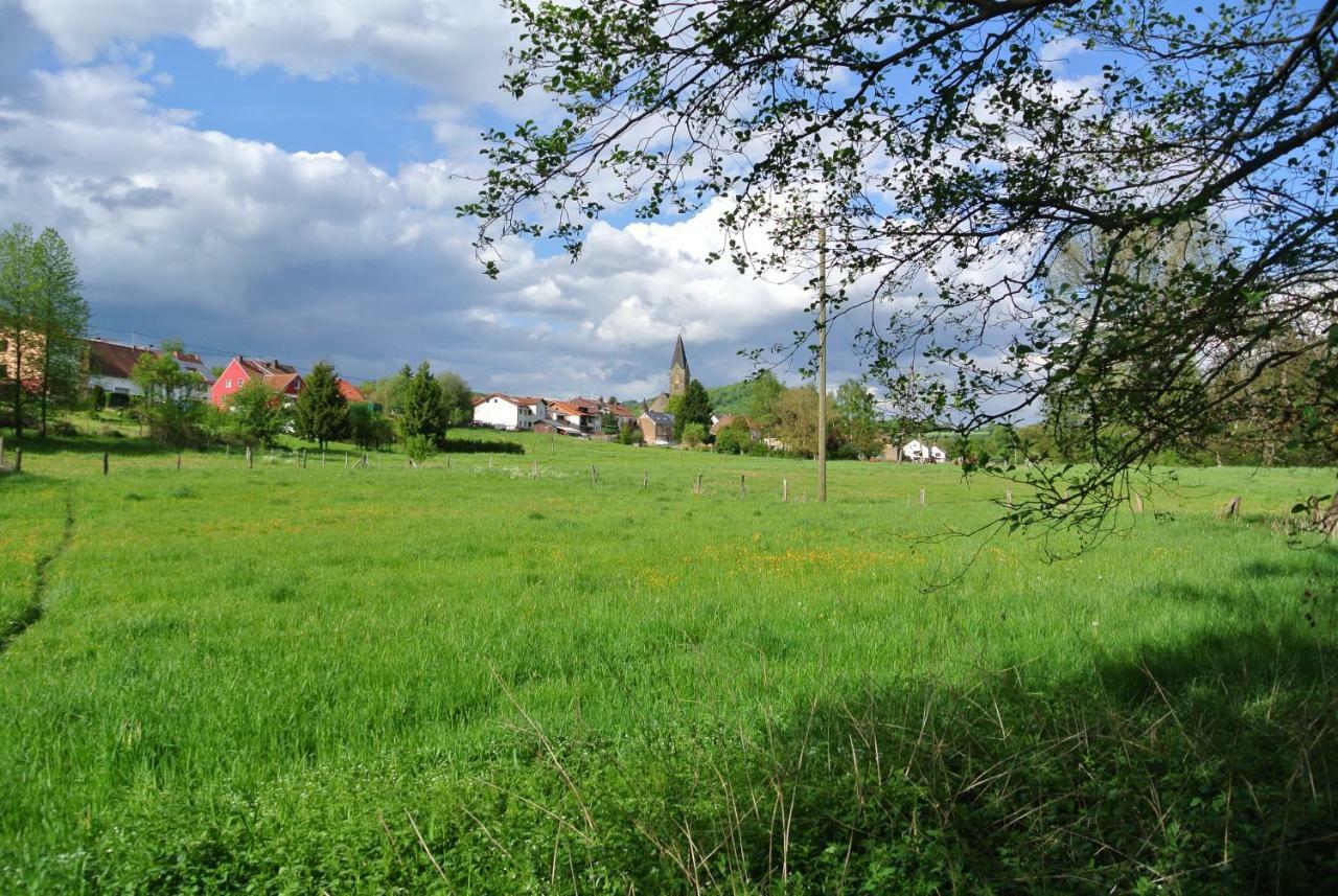 Ferienwohnung Zur Muehle Sotzweiler Zewnętrze zdjęcie